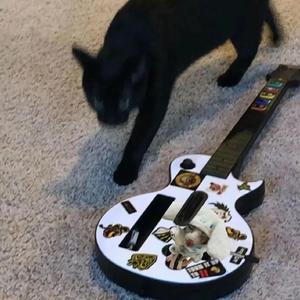 女同le片真做第一次
